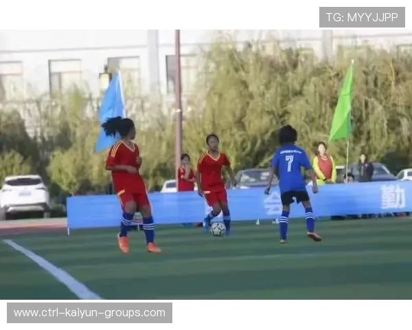 职业球员是否参与过基础教练课程学习,职业球员每天训练什么内容